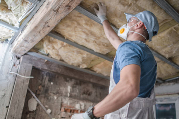 Attic Insulation Near Me in Demopolis, AL
